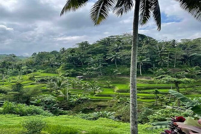 Banyumala Waterfall, Jatiluwih, Ulun Danu and Tanah Lot tours - Tanah Lot, Bali’s temple on an offshore rock