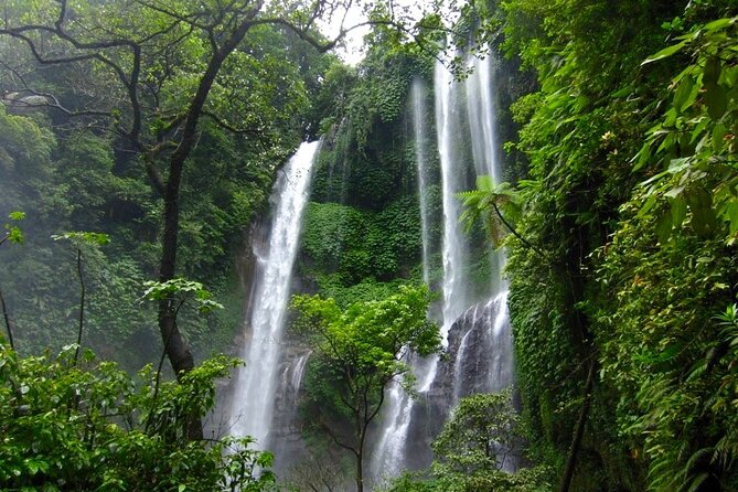 Banyuwana & Banyumala Waterfalls Tour Private - All-Inclusive - Timing, pickup, and what to pack