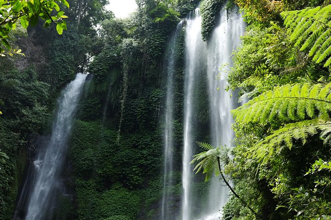 Banyuwana & Banyumala Waterfalls Tour Private - All-Inclusive - Banyu Wana Amertha: the pretty walk that tests your legs