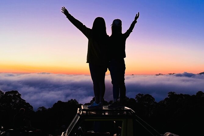 Batur 4WD Jeep Sunrise and Kintamani Cafe Hopping - Who should book this experience
