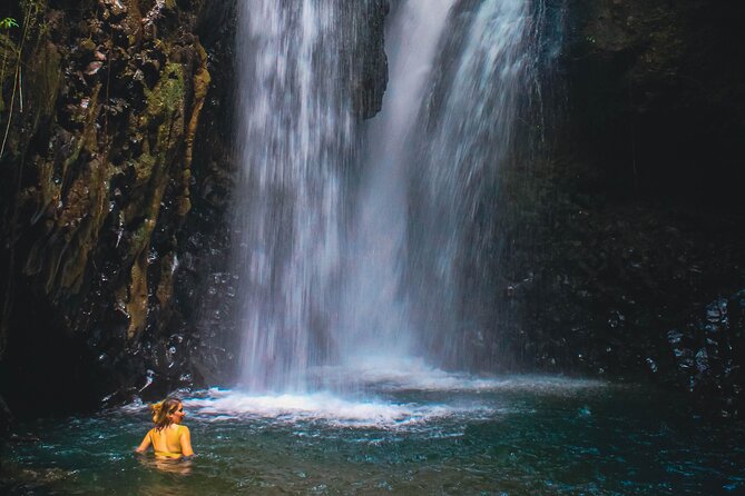 Bedugul and Singaraja Tour - What this North Bali day covers