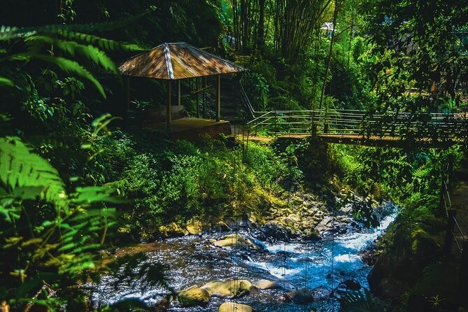 Bedugul and Singaraja Tour - Who will get the most from this trip