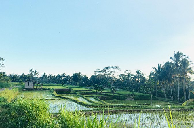 Benang kelambu waterfall and benang stokel waterfall lombok - The Sasak culture stops on the return journey