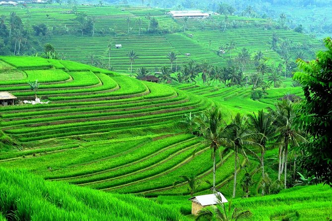 Beratan , lake side temple tour , all inclusive - Jatiluwih rice terraces and a UNESCO setting