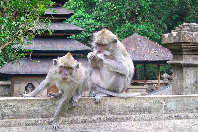 Best Bali Package Tour: 4 Days with Airport or Hotel Transfer - Day Two: Bali’s Arts and Ubud’s Sacred Sites