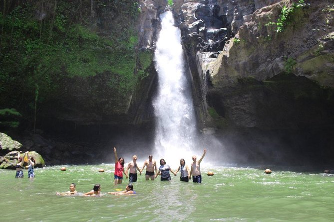 Best Bali Private Customize Tour - The Real Bali Swing and its extra costs