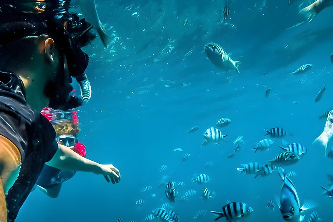 Best Bali Snorkeling at Blue Lagoon Beach: All-Inclusive - What the private format is worth