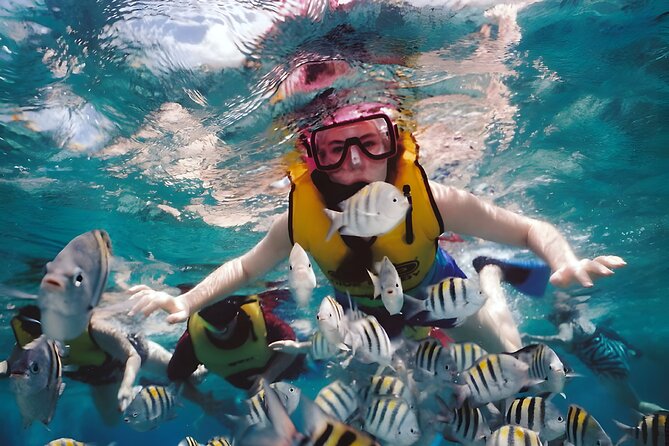 Best Bali Snorkeling at Blue Lagoon Beach: All-Inclusive - Lunch, showers, and the useful extras