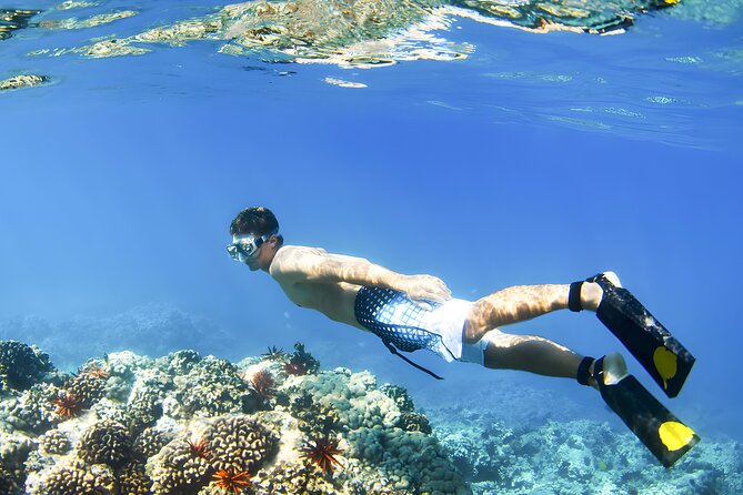 Best Bali Snorkeling at Blue Lagoon Beach: All-Inclusive - What the experience does well
