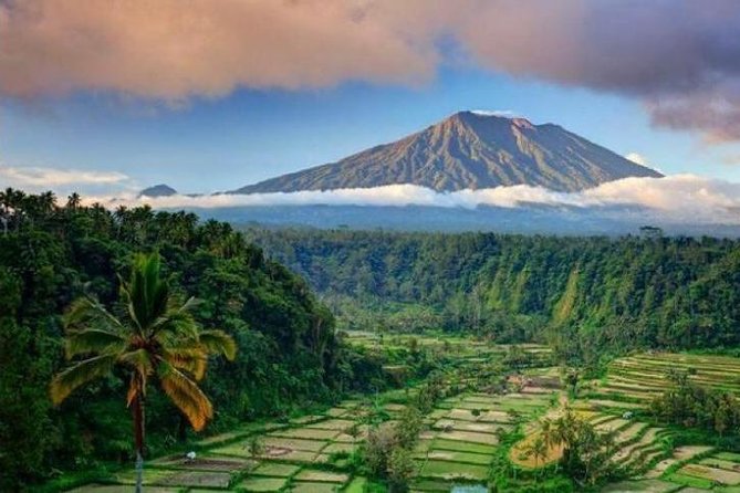 Best bali transport service - custom your own itinerary - Key points to know before booking
