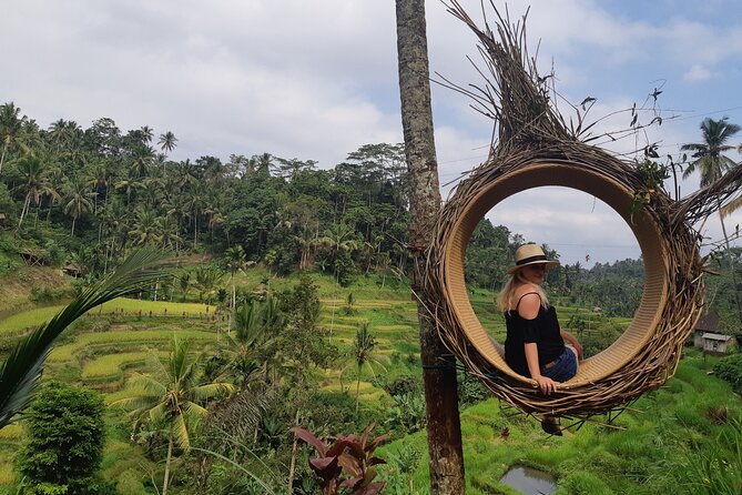 Best Bali Ubud Full Day All-Inclusive Private Tour - Why this private Ubud route works well in one day