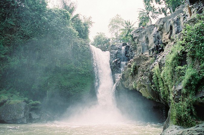 Best Day Tour - #1 Ubud Top Attraction - Tegenungan Waterfall, a final scenic stop