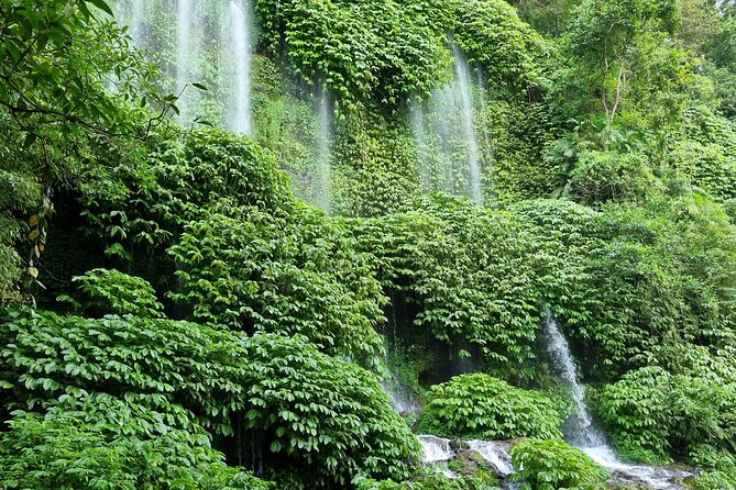 Best Lombok Rice Terrace Walking Tour With Waterfall & Monkey - Aik Berik rice terraces and the shape of village life