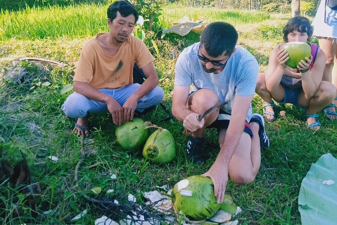 Best Lombok Rice Terrace Walking Tour With Waterfall & Monkey - Puncak Pusuk Pass and the monkey stop
