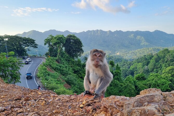 Best Lombok Rice Terrace Walking Tour With Waterfall & Monkey - What the $60 price really covers