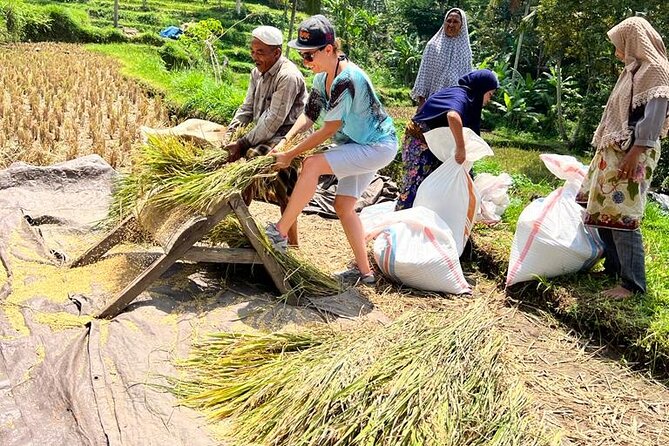 Best Lombok Rice Terrace Walking Tour With Waterfall & Monkey - Practical details that make the day easier