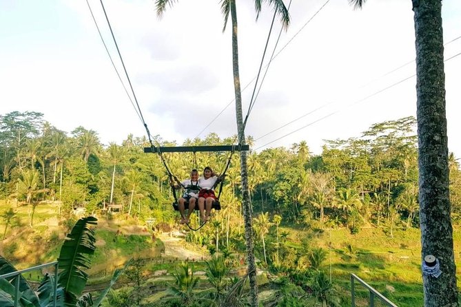 Best of Bali Jungle Swing with Ubud Sightseeing Tour - The guide can make or break the long day