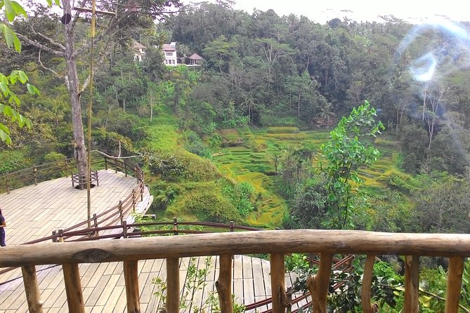 Best of Bali : Ubud, Rice terrace, Tanah lot temple with Lunch - What you get for $60 per person