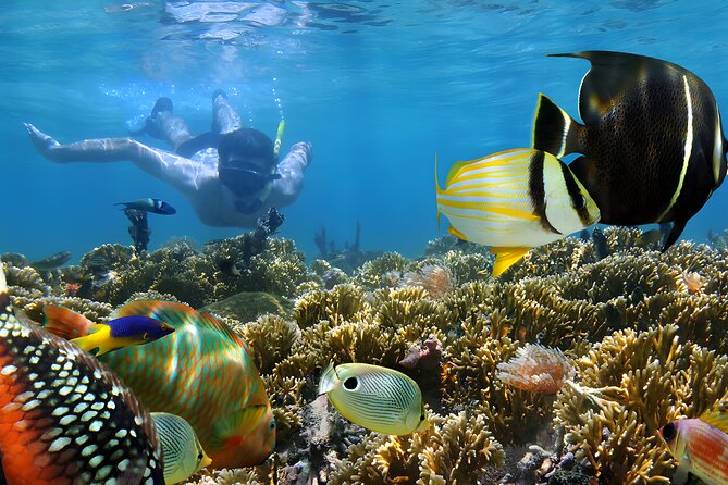 Best of Bali Water Sport Jumbo Packages - Parasailing over the Indian Ocean
