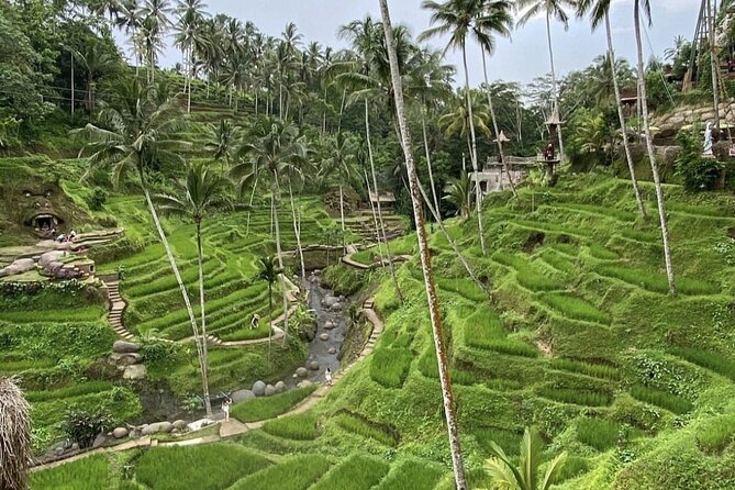 Best of Instagram Tour: Gate of Heaven, Tirta Gangga, Bali Swing - Comfort, Group Size, and Pace