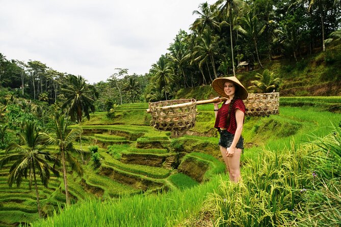 Best of Ubud 1-Day Private Tour - Why this private Ubud route works