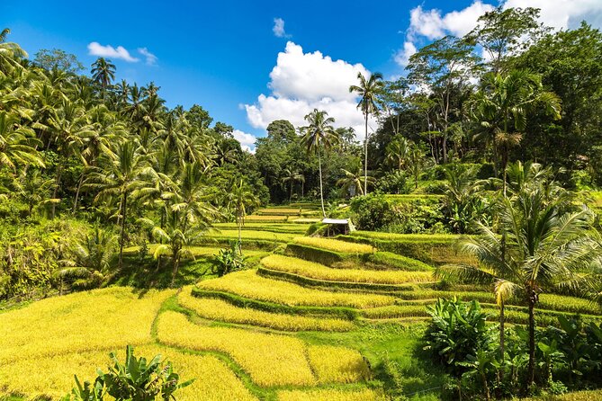 Best of Ubud 1-Day Private Tour - Batuan Temple’s carved entrance and quiet detail