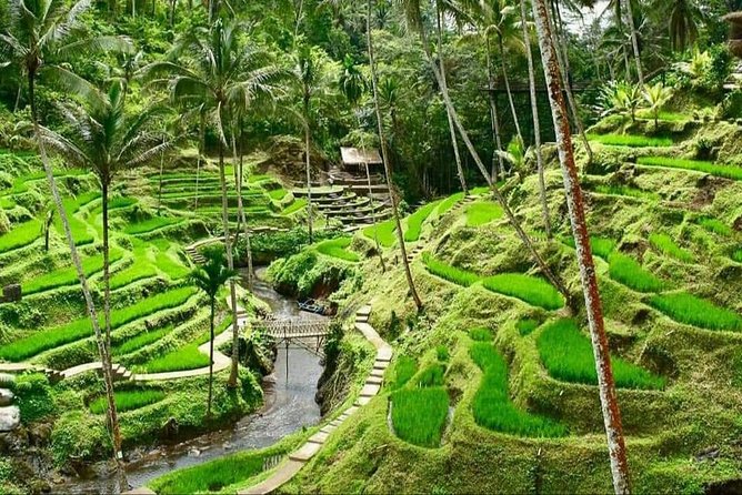 Best of Ubud Full Day Private Guided Tour - The swing stop and the price of perfect photos