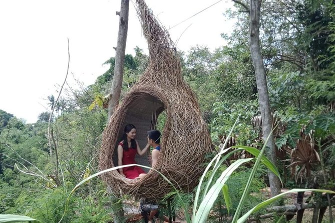 Best of Ubud Full Day Private Guided Tour - Tegalalang Rice Terrace and lunch with a view