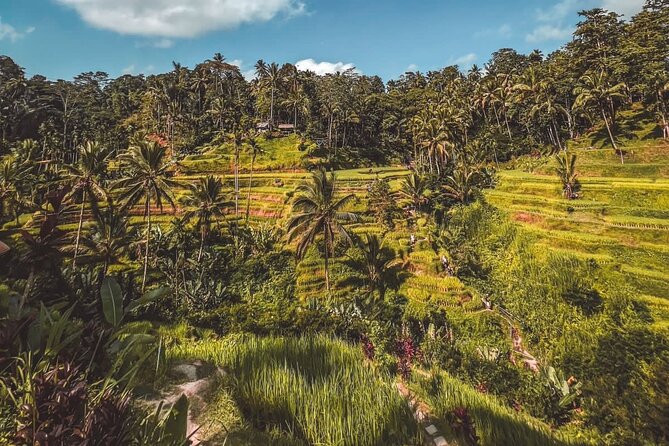 Best Of Ubud Private Day Tour With Local Guide - Celuk Village and Bali’s silver-making tradition