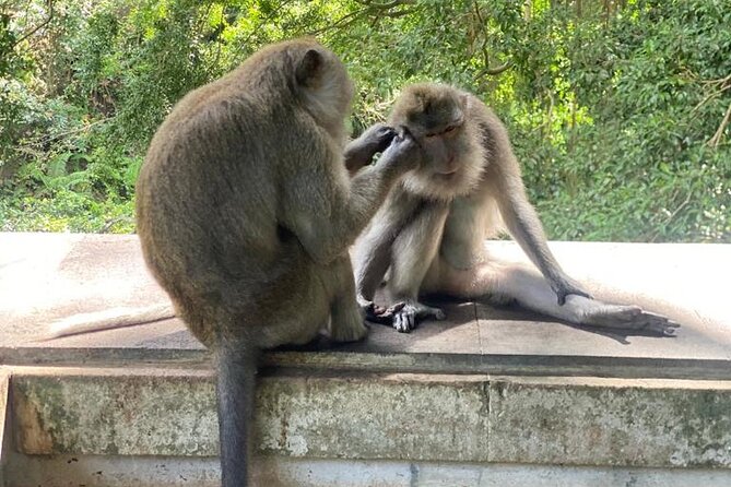 Best Of Ubud Private Day Tour With Local Guide - What the $51.51 price really buys you
