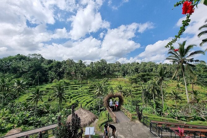 Best of Ubud Private Tour with Jungle Swing Experience - Why this Ubud day works well
