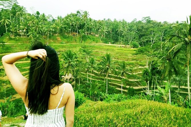Best of Ubud Private Tour with Jungle Swing Experience - Sacred Monkey Forest Sanctuary needs attention