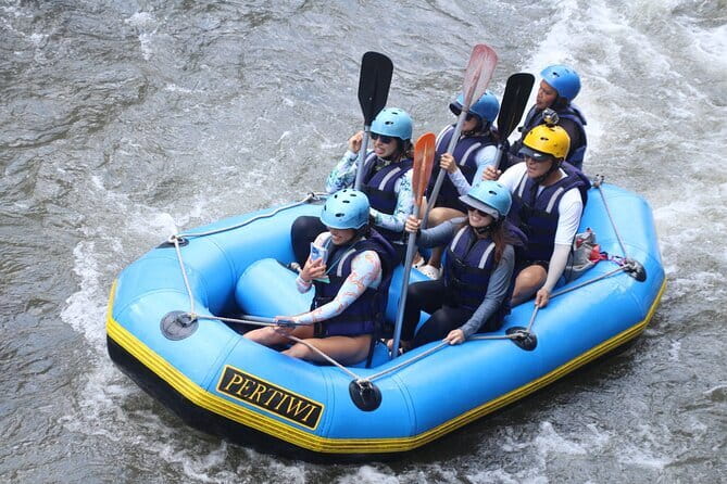 Best Of Ubud Rafting And Swing All Inclusive - Who will enjoy this Bali day trip?