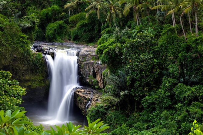 Best of Ubud: Rice Terrace, Temple and Waterfall Private Tour - Campuhan Ridge Walk: A Free Hour on Foot