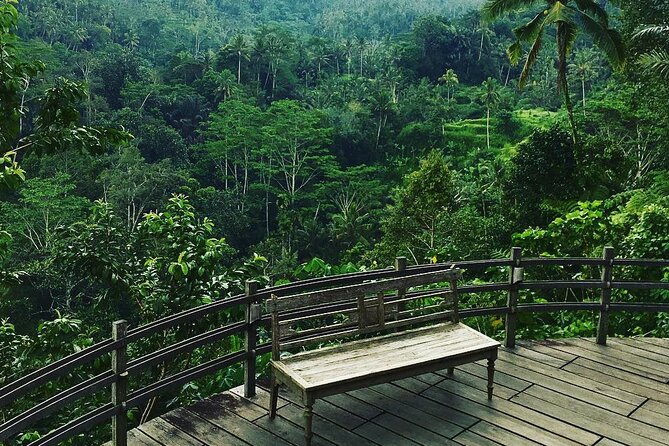 Best of Ubud: Rice Terrace, Temple and Waterfall Private Tour - Transport, Timing, and What the Price Covers