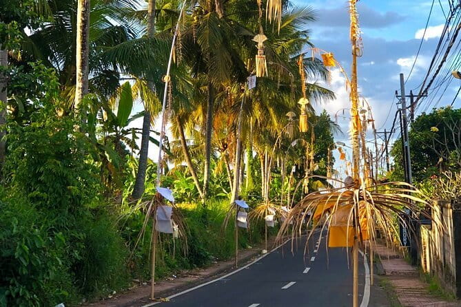 Best Of Ubud Scenic Full Day Private Guided Tour - Why this private Ubud day works well from Seminyak
