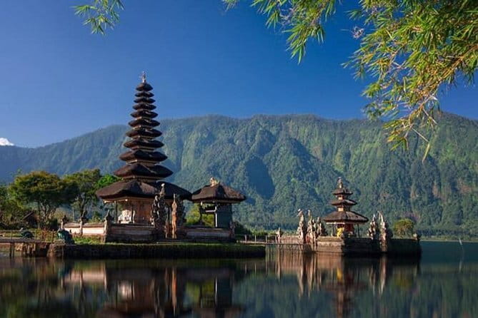 Best Of Ubud Scenic Full Day Private Guided Tour - Tegalalang Rice Terrace: scenery with a time limit