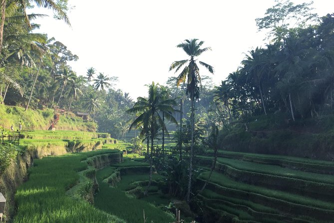 Best of Ubud Waterfalls, Tegalalang Rice Terrace and Swing Tour - Tukad Cepung uses cliffs and shafts of light
