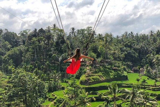 Best Ubud Tour Private Tour All Inclusive Package - Tegalalang Rice Terraces: Bali’s classic green view
