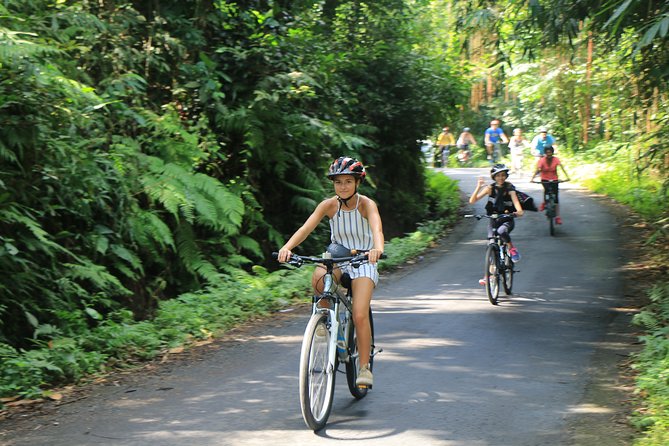 Bike ride in the rice fields, Bali countryside - Leaving Seminyak for quieter Bali