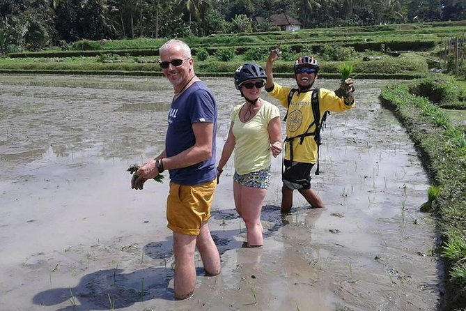 Bike ride in the rice fields, Bali countryside - Meeting farmers in the rice fields