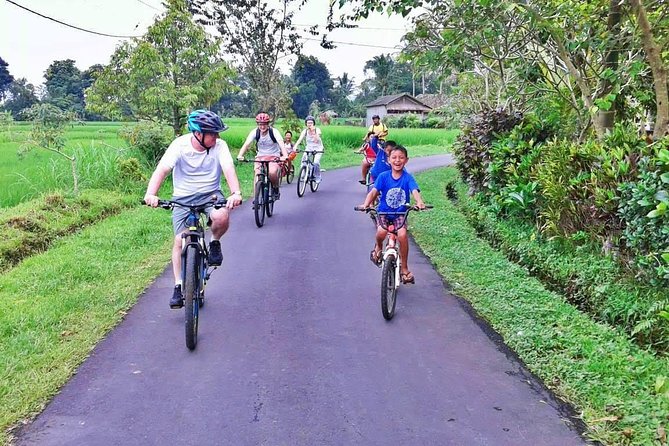 Bike ride in the rice fields, Bali countryside - A coconut break under the shade
