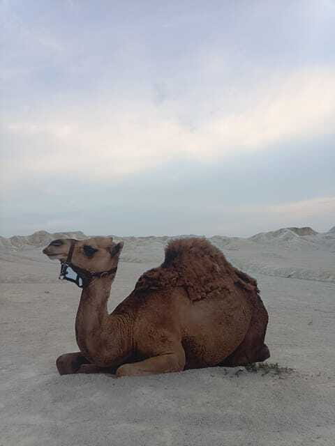 Bintan Desert And Blue Lake Private Tour - Who will get the most from this tour