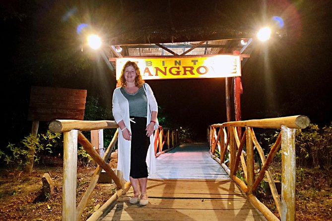 Bintan Fireflies Discovery Tour - Why the mangrove setting matters