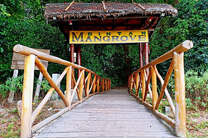 Bintan Mangrove Discovery Tour - Key points at a glance