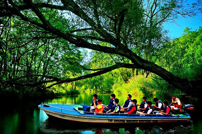 Bintan Mangrove Discovery Tour - What could be better