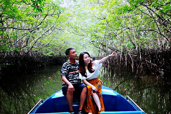 Bintan Mangrove Discovery Tour - Who should book this mangrove cruise?