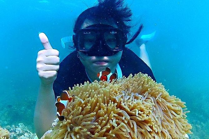 Bintan Snorkeling Tour - Trikora Jetty and the boat to the kelong