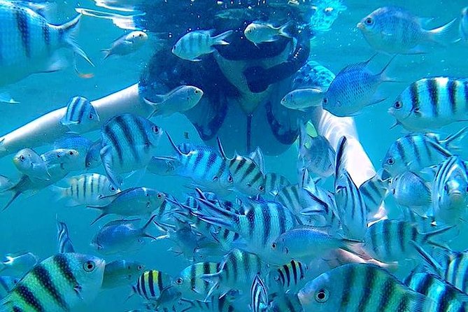 Bintan Snorkeling Tour - An instructor who works well with beginners