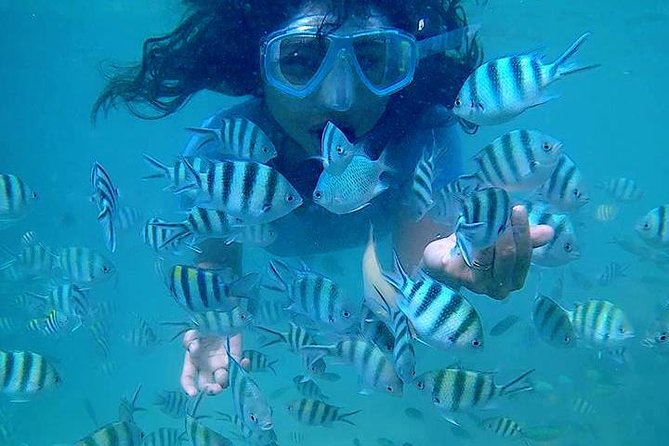 Bintan Snorkeling Tour - Kayaking, swimming, fishing, and platform fun